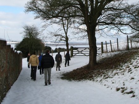 Photo of first winter bird walk